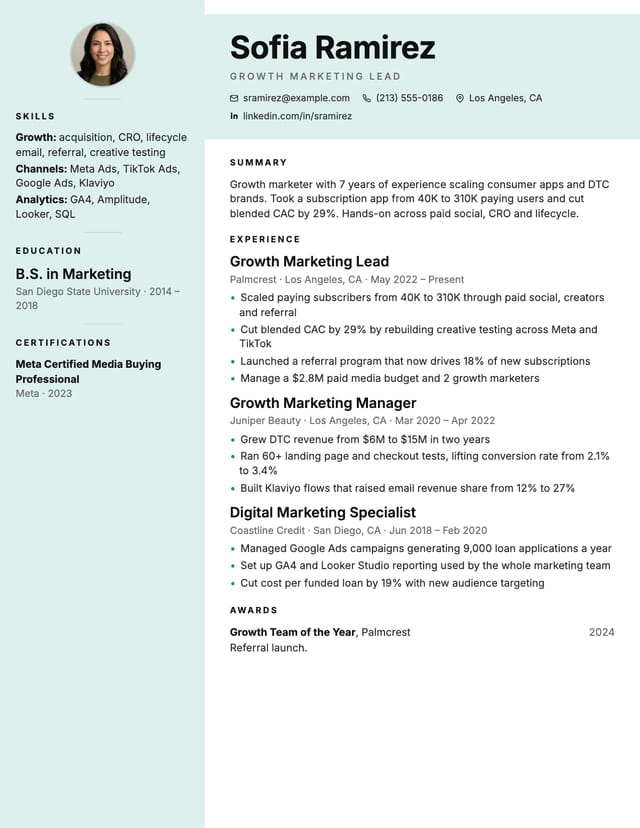 Clean Sidebar resume template preview Clean Sidebar resume template preview